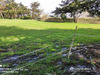 Ma-Cabane - Vente Terrain Groix, 952 m²