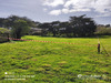 Ma-Cabane - Vente Terrain Groix, 952 m²