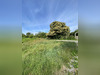 Ma-Cabane - Vente Terrain Groix, 500 m²