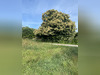 Ma-Cabane - Vente Terrain Groix, 500 m²