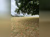 Ma-Cabane - Vente Terrain Groix, 404 m²