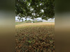 Ma-Cabane - Vente Terrain Groix, 404 m²