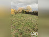 Ma-Cabane - Vente Terrain Guécélard, 1687 m²