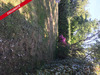 Ma-Cabane - Vente Terrain GUISSENY, 1300 m²