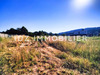 Ma-Cabane - Vente Terrain Hagenthal-le-Bas, 804 m²
