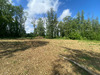 Ma-Cabane - Vente Terrain HALLIGNICOURT, 5850 m²