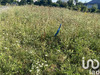 Ma-Cabane - Vente Terrain Hebecourt, 571 m²