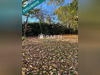Ma-Cabane - Vente Terrain Holving, 1197 m²