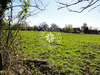 Ma-Cabane - Vente Terrain HOULGATE, 2500 m²