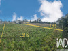 Ma-Cabane - Vente Terrain Ibos, 1022 m²