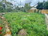 Ma-Cabane - Vente Terrain Igny, 424 m²