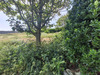 Ma-Cabane - Vente Terrain ILE MOLENE, 500 m²