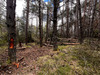 Ma-Cabane - Vente Terrain ILONSE, 32905 m²