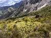 Ma-Cabane - Vente Terrain ILONSE, 32905 m²