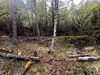Ma-Cabane - Vente Terrain ILONSE, 32905 m²