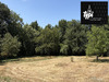 Ma-Cabane - Vente Terrain Inzinzac-Lochrist, 1500 m²