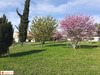 Ma-Cabane - Vente Terrain Jalogny, 1800 m²