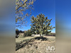 Ma-Cabane - Vente Terrain Jarcieu, 897 m²