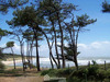 Ma-Cabane - Vente Terrain Jard-sur-Mer, 410 m²