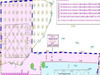 Ma-Cabane - Vente Terrain Jouy-sur-Morin, 629 m²