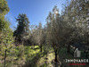 Ma-Cabane - Vente Terrain Juvignac, 1519 m²