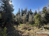 Ma-Cabane - Vente Terrain Juvignac, 1519 m²