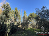 Ma-Cabane - Vente Terrain Juvignac, 1519 m²