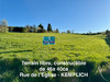 Ma-Cabane - Vente Terrain KEMPLICH, 4640 m²
