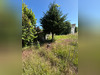 Ma-Cabane - Vente Terrain L'ETANG-LA-VILLE, 648 m²