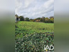 Ma-Cabane - Vente Terrain L'Oie, 2187 m²