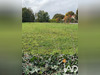 Ma-Cabane - Vente Terrain L'Oie, 2187 m²