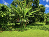 Ma-Cabane - Vente Terrain L AJOUPA BOUILLON, 729 m²