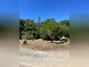 Ma-Cabane - Vente Terrain La Barre-de-Monts, 650 m²