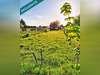 Ma-Cabane - Vente Terrain La Bassee, 499 m²