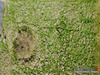 Ma-Cabane - Vente Terrain La Bourgonce, 892 m²