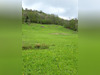 Ma-Cabane - Vente Terrain LA BRESSE, 1 m²