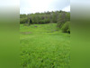 Ma-Cabane - Vente Terrain LA BRESSE, 1 m²