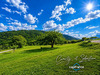 Ma-Cabane - Vente Terrain LA CHAPELLE BLANCHE, 1512 m²