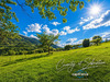 Ma-Cabane - Vente Terrain LA CHAPELLE BLANCHE, 1512 m²