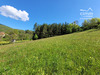 Ma-Cabane - Vente Terrain La Chapelle-en-Vercors, 2539 m²