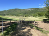 Ma-Cabane - Vente Terrain La Chapelle-en-Vercors, 1073 m²