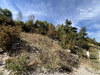 Ma-Cabane - Vente Terrain La Chapelle-en-Vercors, 834 m²