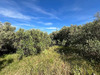 Ma-Cabane - Vente Terrain La Ciotat, 617 m²