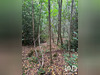 Ma-Cabane - Vente Terrain La Croix Aux Bois, 7705 m²