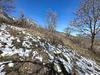 Ma-Cabane - Vente Terrain La Fare-en-Champsaur, 3968 m²