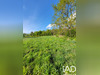Ma-Cabane - Vente Terrain La Ferté-Gaucher, 5693 m²