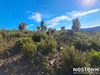 Ma-Cabane - Vente Terrain LA GARDE-FREINET, 19000 m²