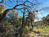 Ma-Cabane - Vente Terrain LA GARDE-FREINET, 19000 m²