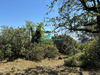 Ma-Cabane - Vente Terrain La Gaude, 640 m²