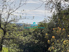 Ma-Cabane - Vente Terrain La Gaude, 502 m²